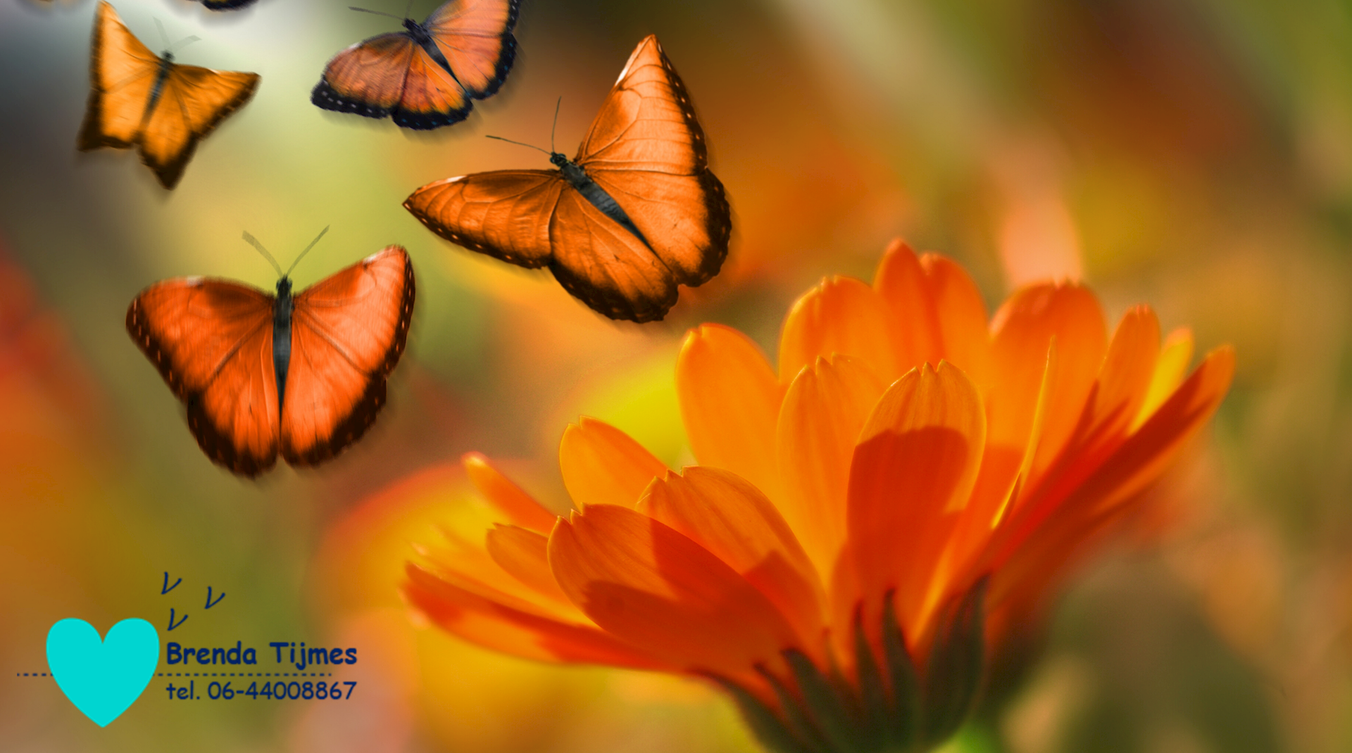 Leven na de dood (?)